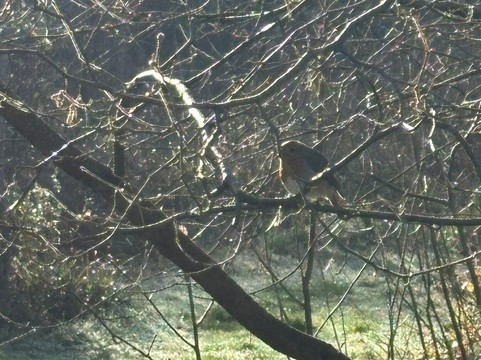 Tiddesley Wood Nature Reserve-Pershore必去景点