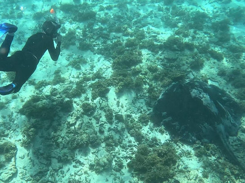 Karlos Excursions-莫纳山必去景点