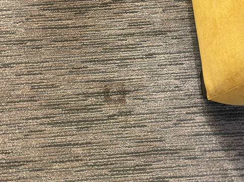 骆驼背度假村主图