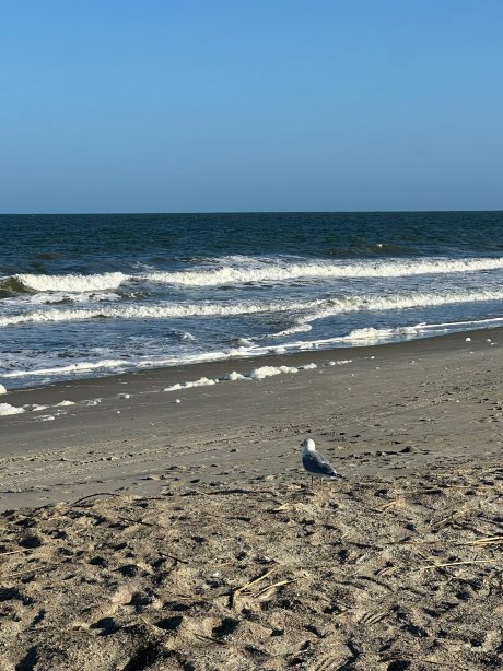 海滩景观家庭旅馆-官方