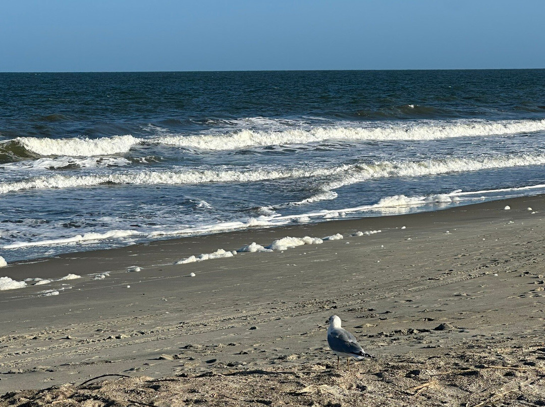 海滩景观家庭旅馆主图
