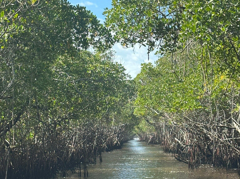 Everglades City Airboat Tours-大沼泽地必去景点
