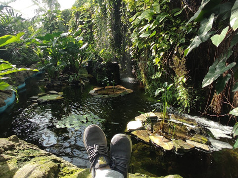 Konya Tropikal Kelebek Bahçesi-科尼亚必去景点