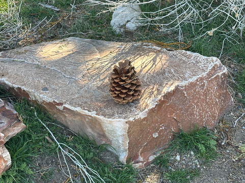 马里纳里维埃拉酒店主图