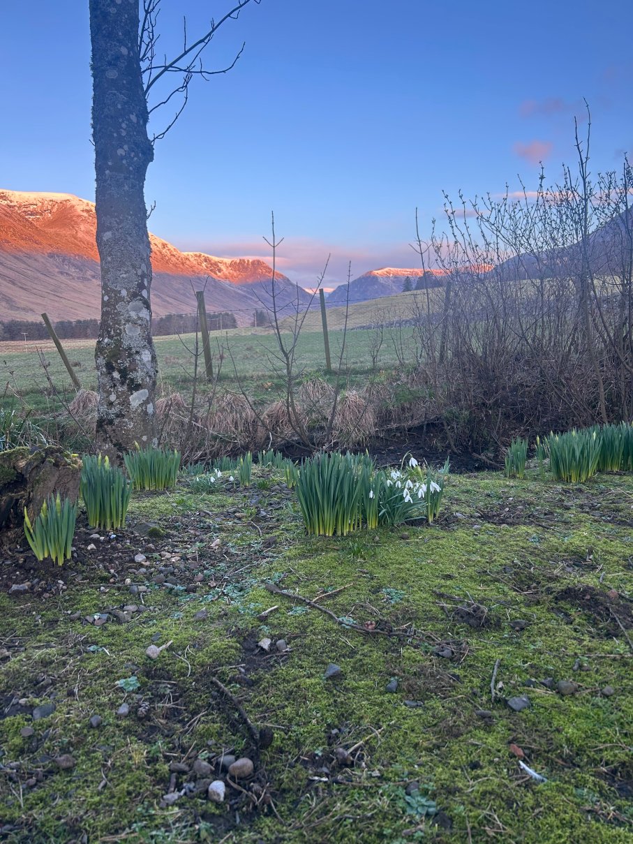 格伦克洛瓦酒店及旅馆-官方