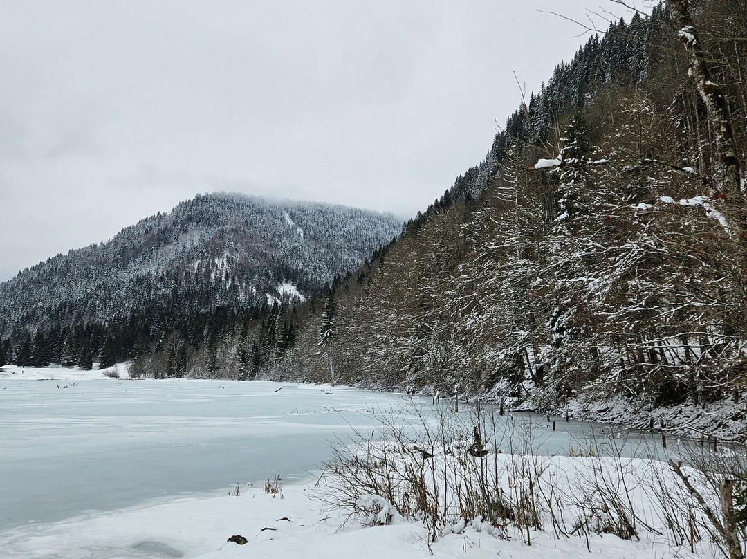 Lac de Vallon-Bellevaux必去景点