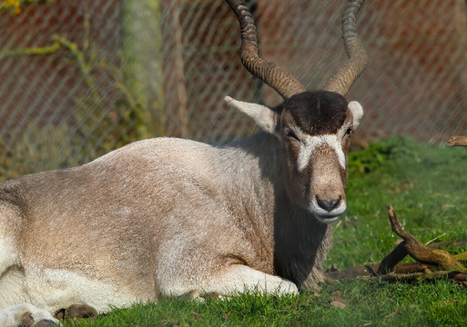 Africa Alive-Kessingland必去景点