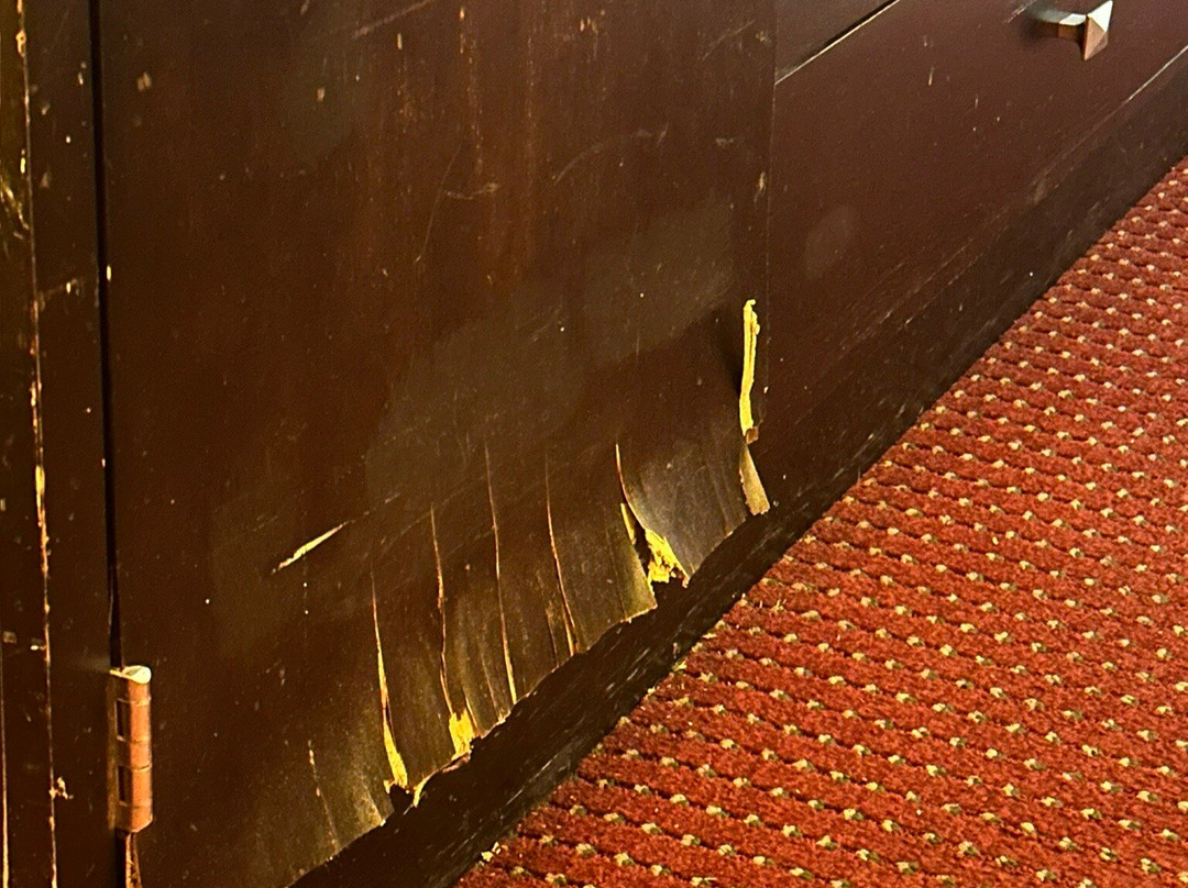 伊利诺伊州奥法隆圣路易斯拉昆塔温德姆套房酒店主图