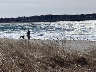 Pine Point Beach-斯卡伯勒必去景点