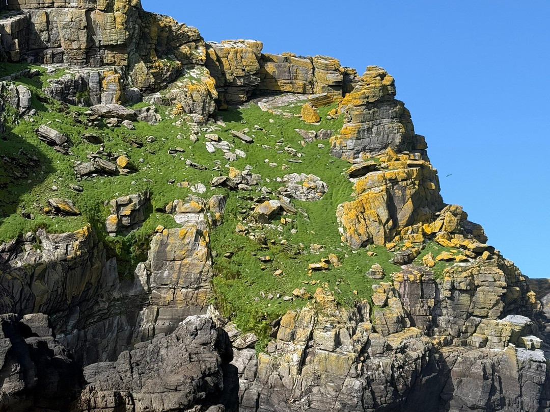 Skellig Michael Cruises-Portmagee必去景点