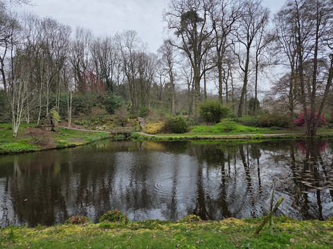 Cholmondeley Castle Gardens-Cholmondeley必去景点