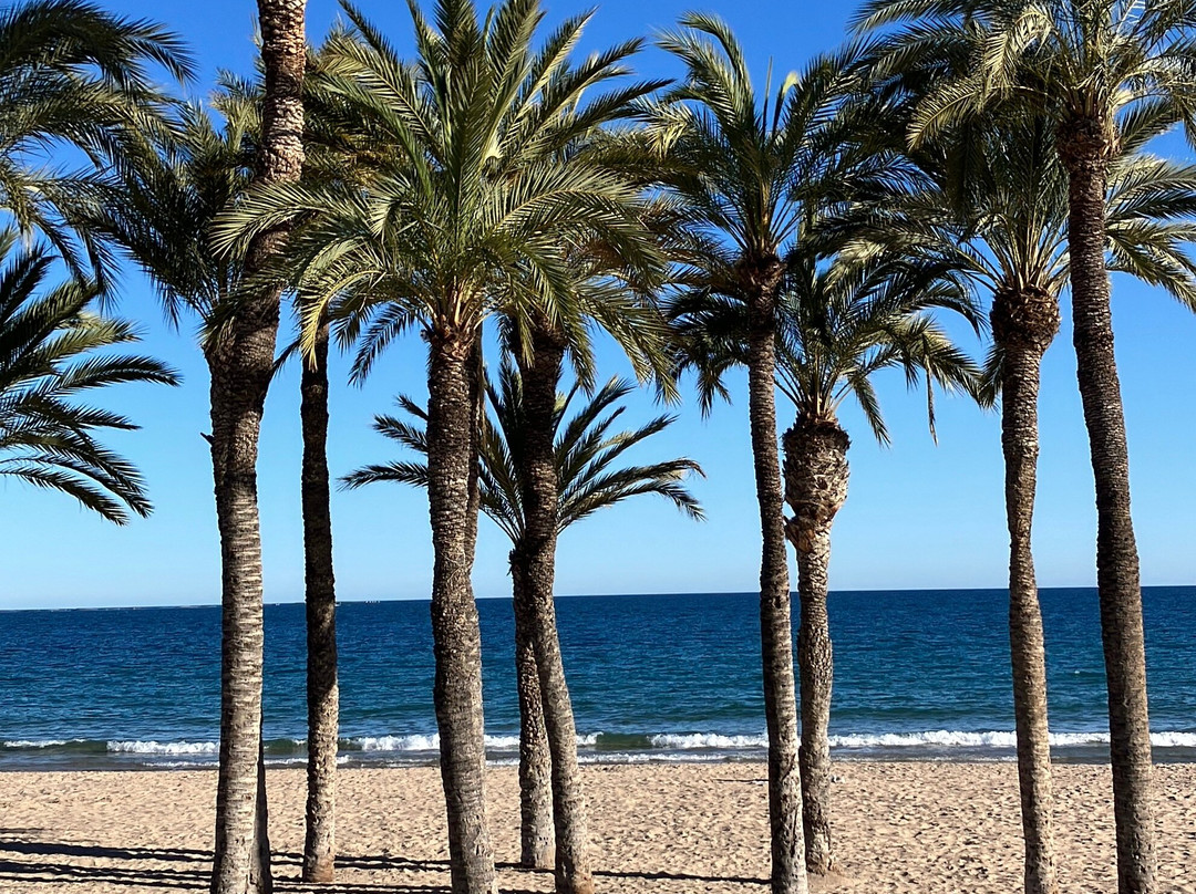 Platja de la Vila Joiosa-Villajoyosa必去景点