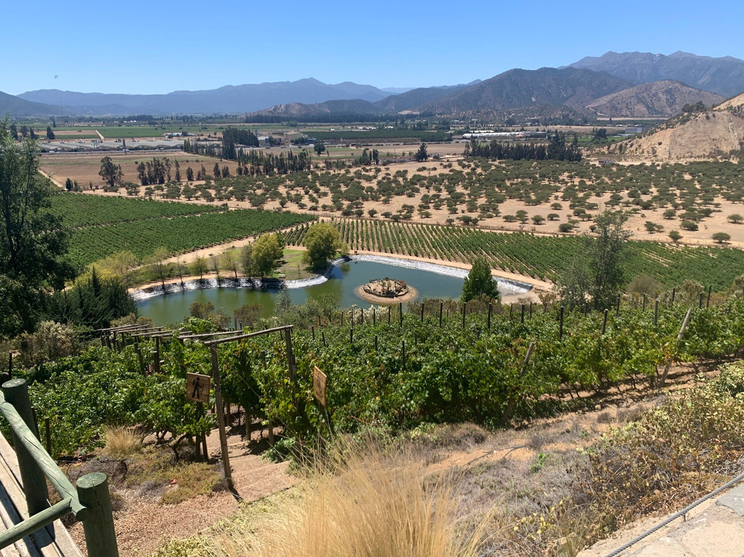 Indomita Casablanca and Maipo Vineyards-卡萨布兰卡必去景点