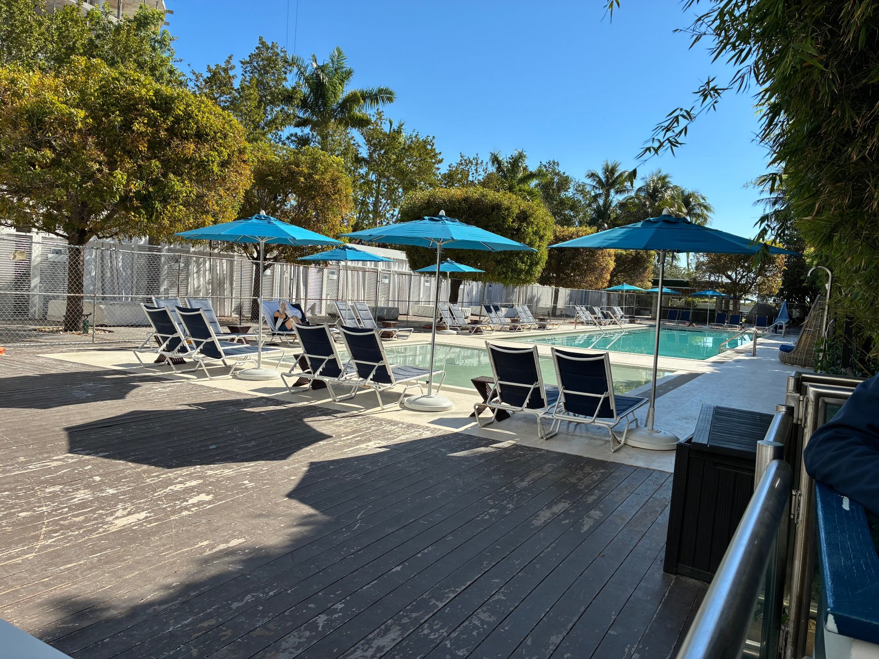 鹦鹉螺索内斯塔迈阿密海滩-泳池