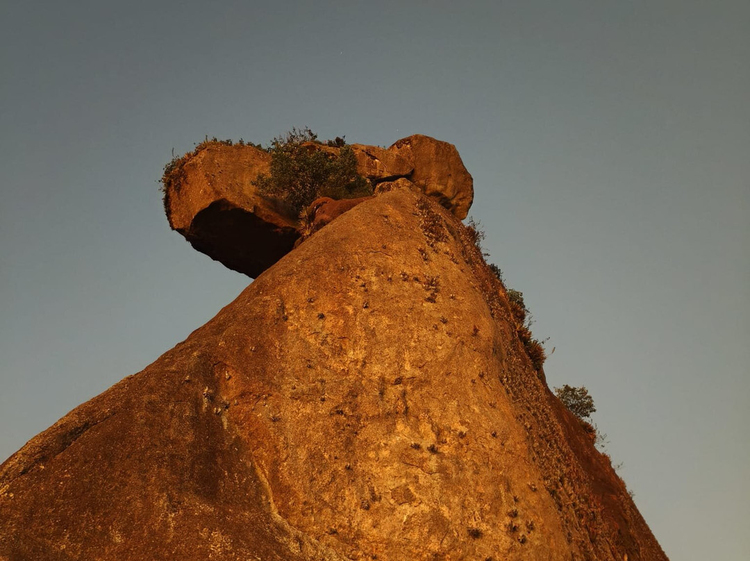 Pico do Papagaio-格兰德岛必去景点