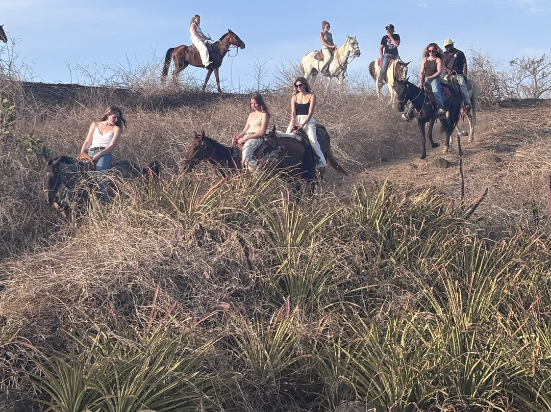 Guti Tours-Playa Avellanas必去景点