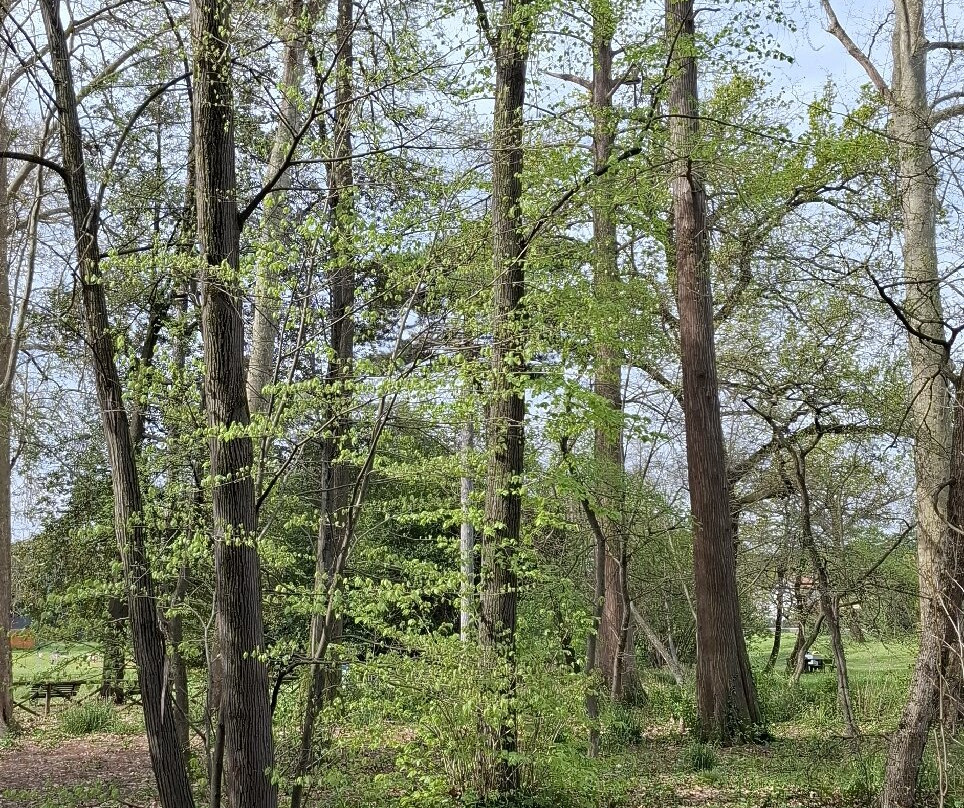 Parco del Neto-卡伦扎诺必去景点