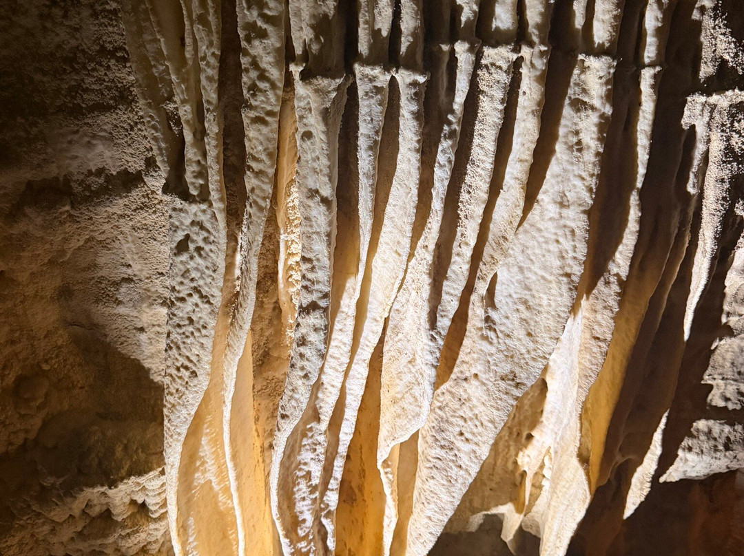 Ruakuri Cave-怀托摩洞穴必去景点
