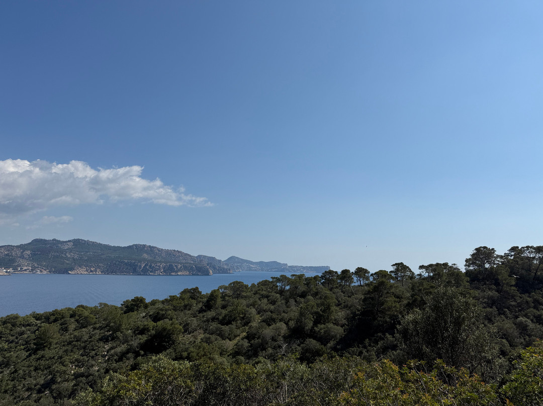 Wander Jürgen Mallorca
