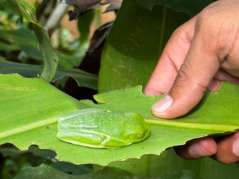 NexusTours-圣何塞必去景点