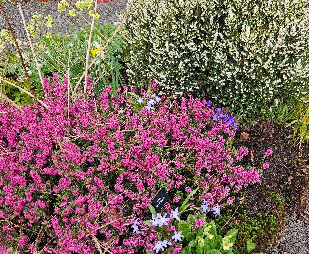 Branklyn Garden-珀斯必去景点