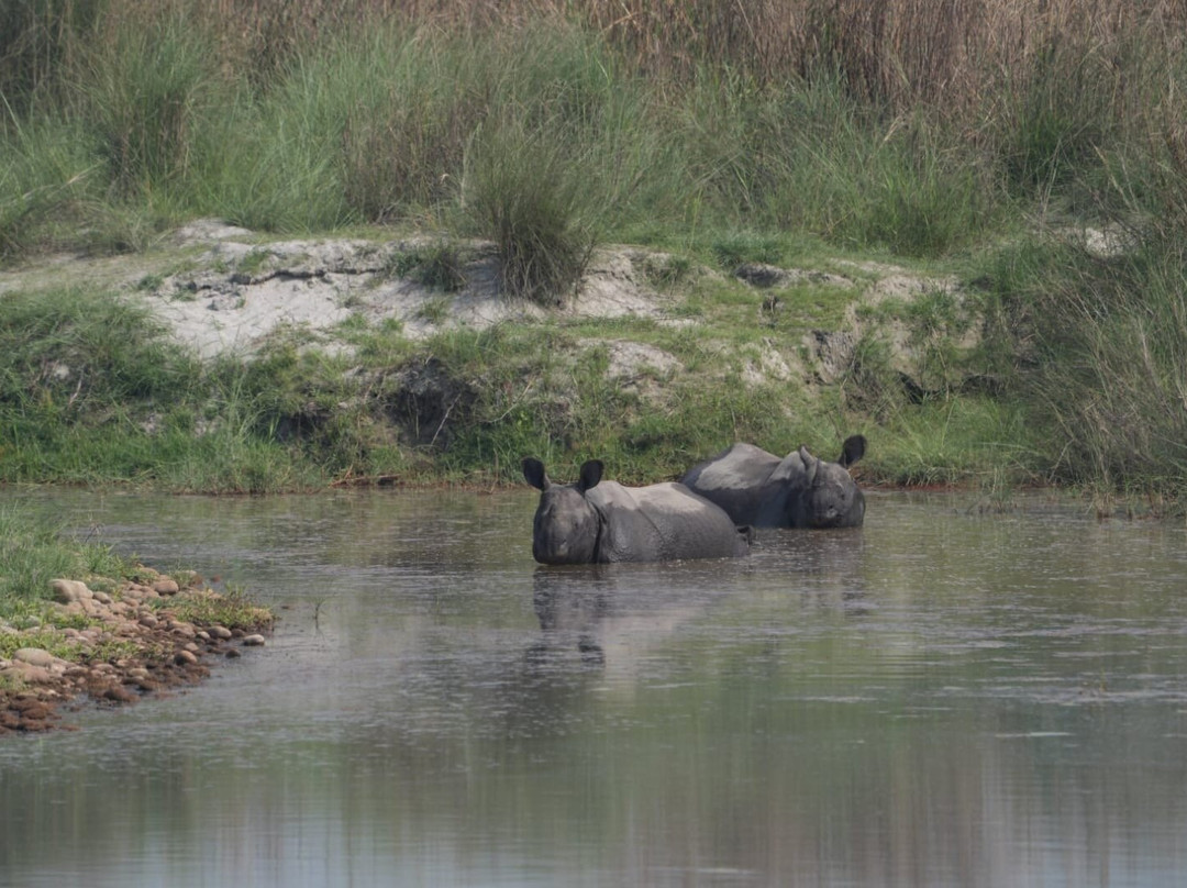 Bardia Homestay Pvt. Ltd.主图