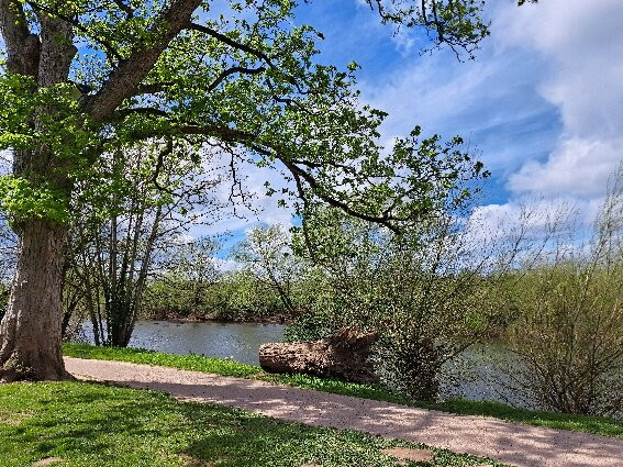 Riverside Inn