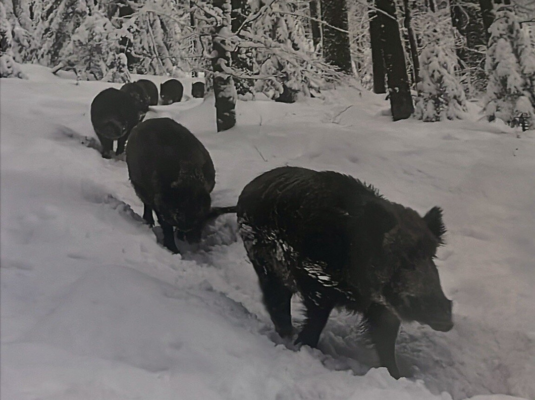 Sleep 'N' Ride Massa Marittima主图