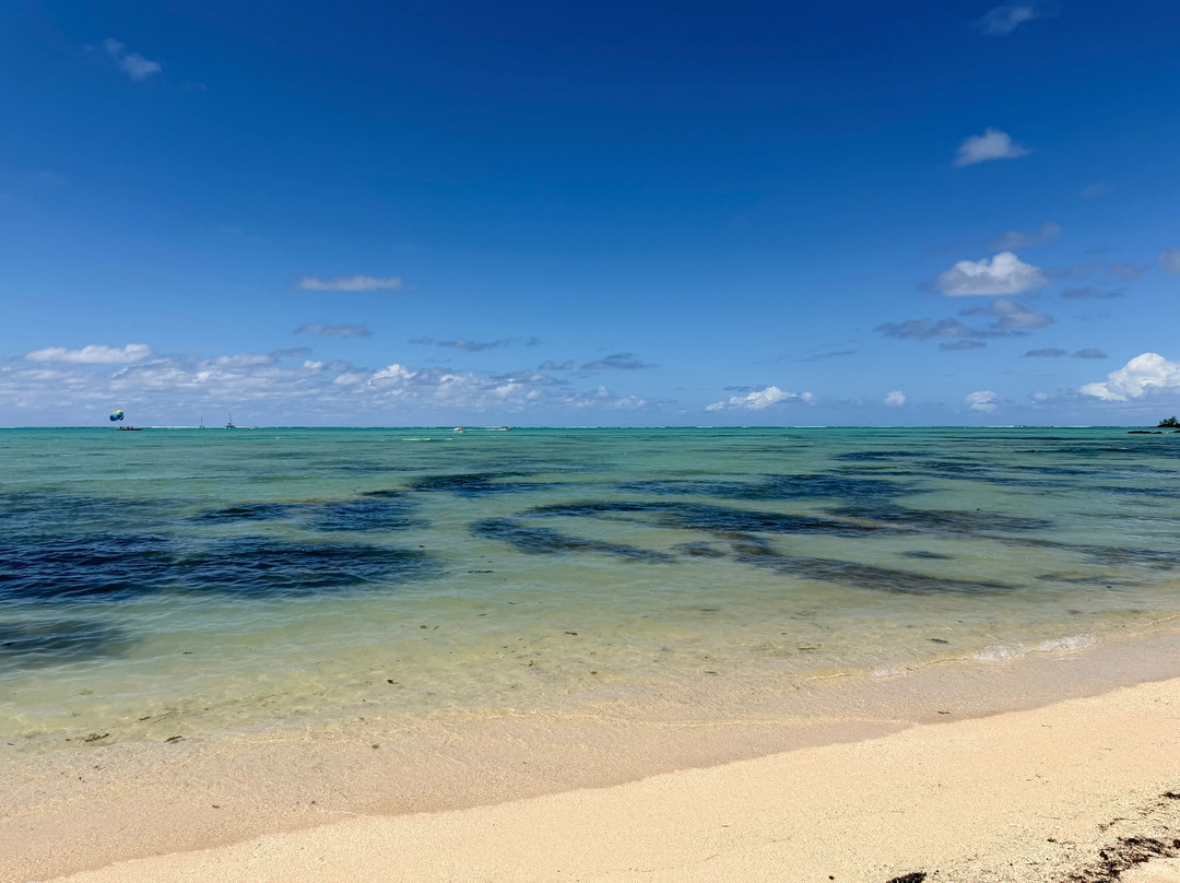 Dauphine Tours Mauritius-大湾必去景点