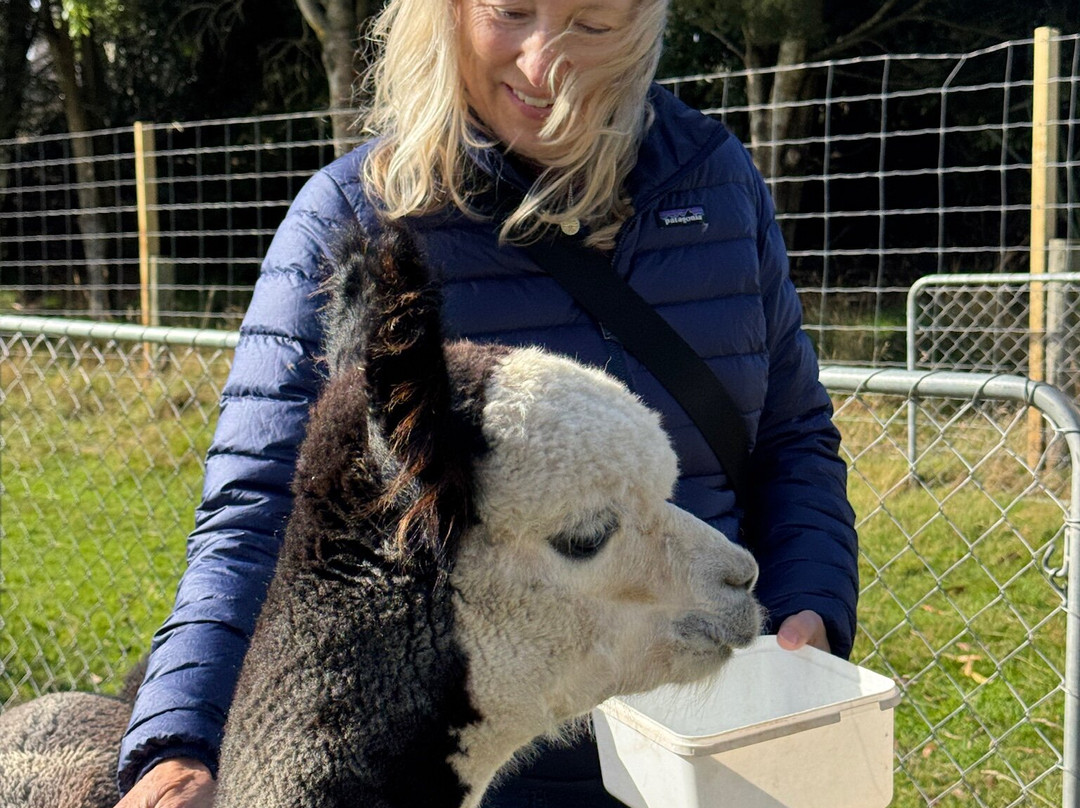 Kepler Mountain View Alpacas-马纳普里必去景点