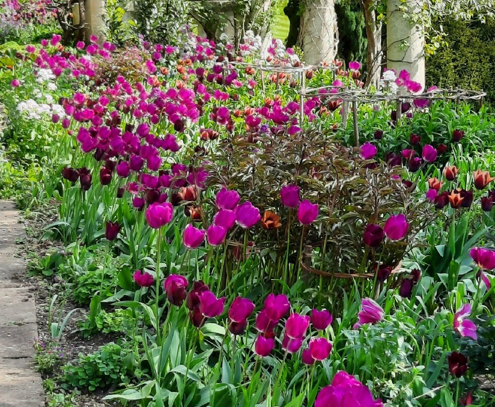 Iford Manor: The Peto Garden-埃文河畔布德拉夫必去景点