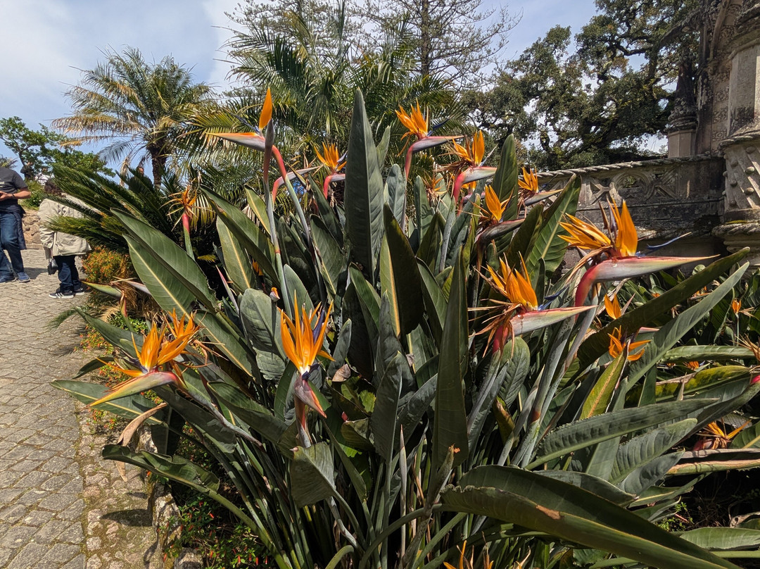Lanetours-里斯本必去景点