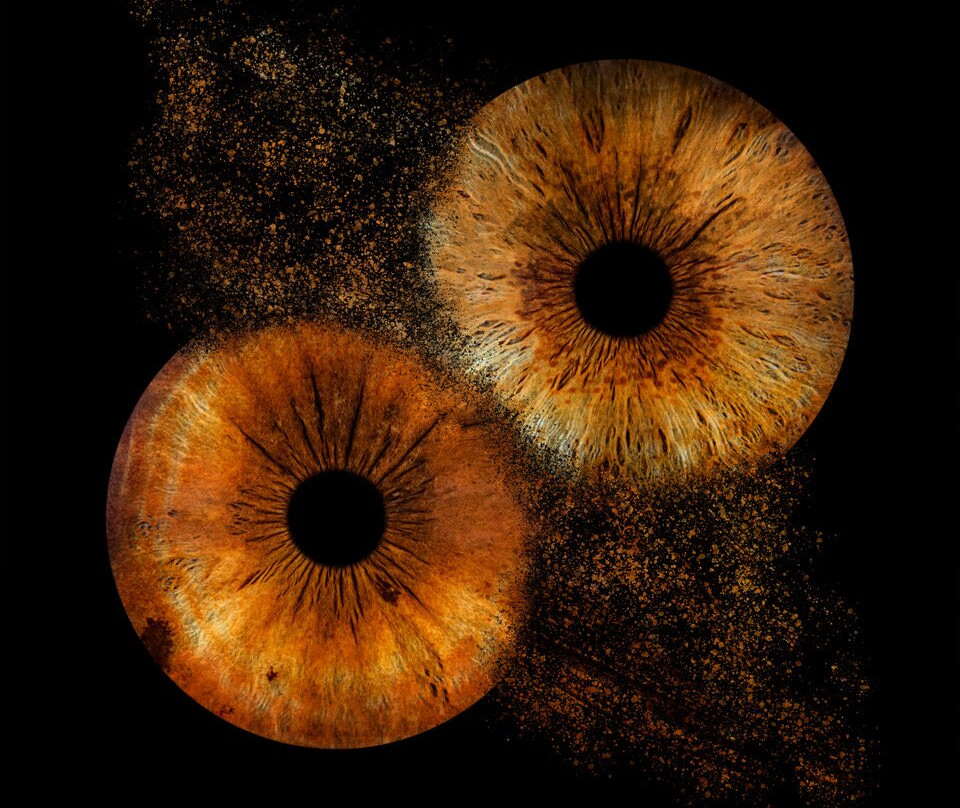 Iris Galerie Gent-根特必去景点