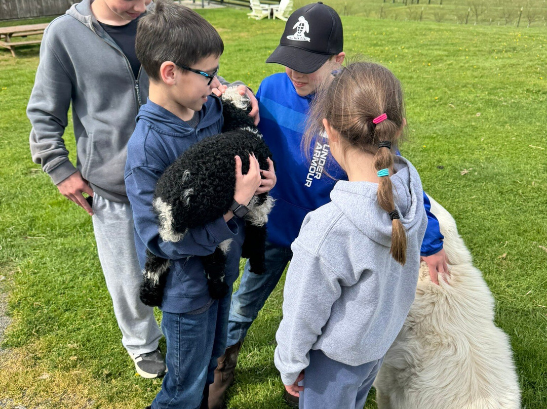 Amaro Farm-星期五港湾必去景点