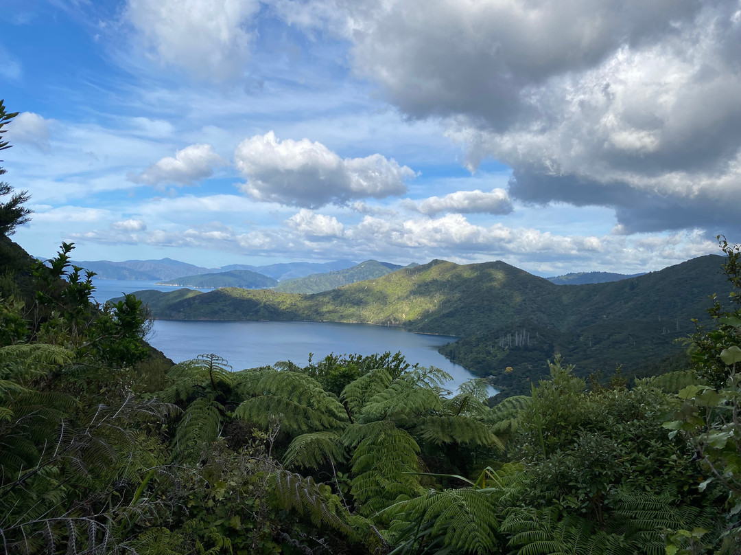 Wilderness Guides - Day Tours-皮克顿必去景点