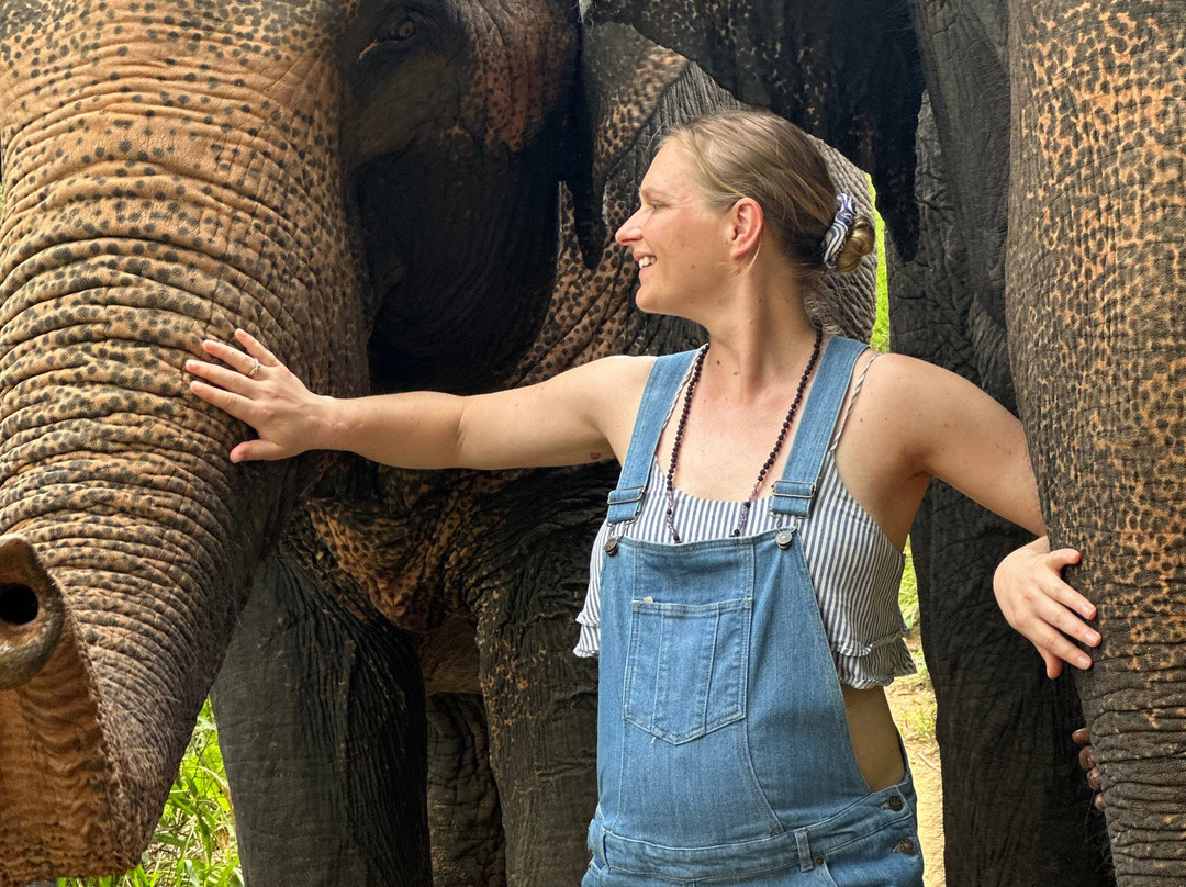 Elephant Freedom Project-凯格勒 必去景点