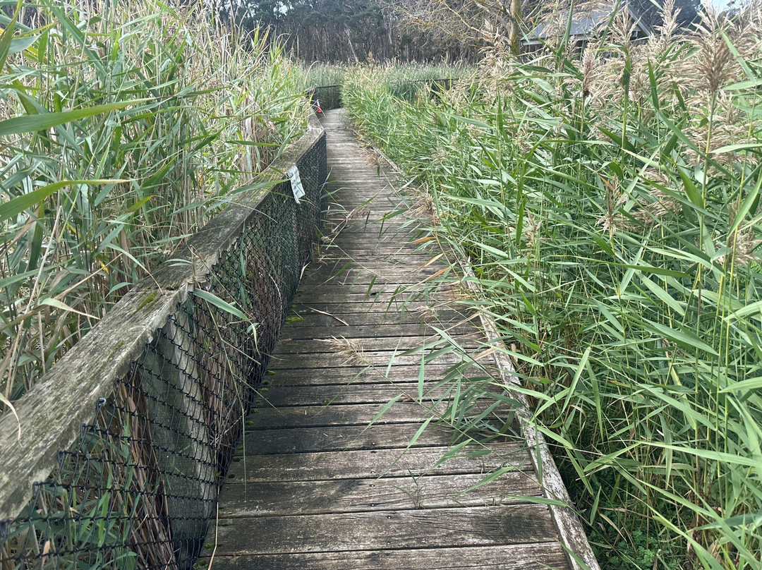 Boneo Discovery Park-Fingal必去景点