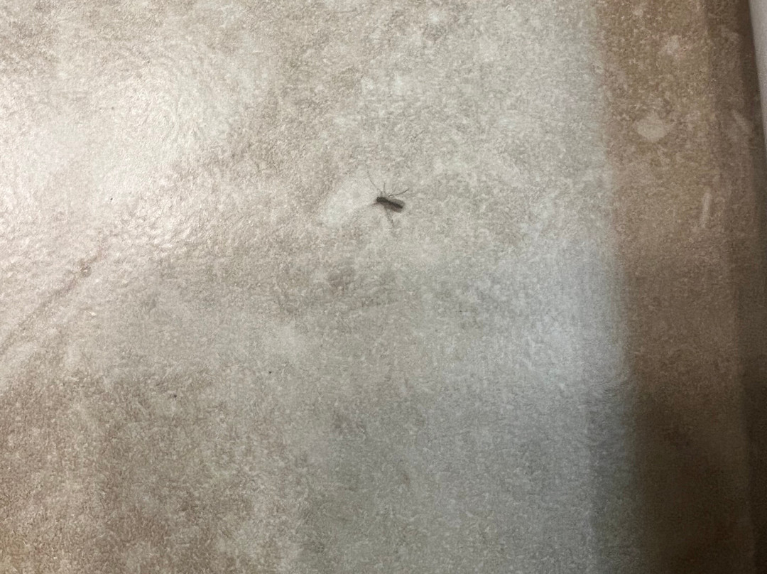 圣地亚哥海亚特度假俱乐部主图