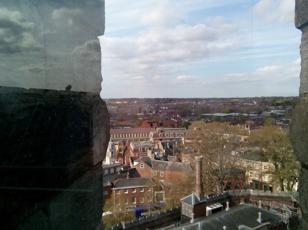 Norwich Castle Museum & Art Gallery-诺威奇必去景点