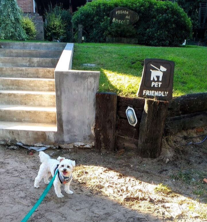 博斯克HS山林小屋主图