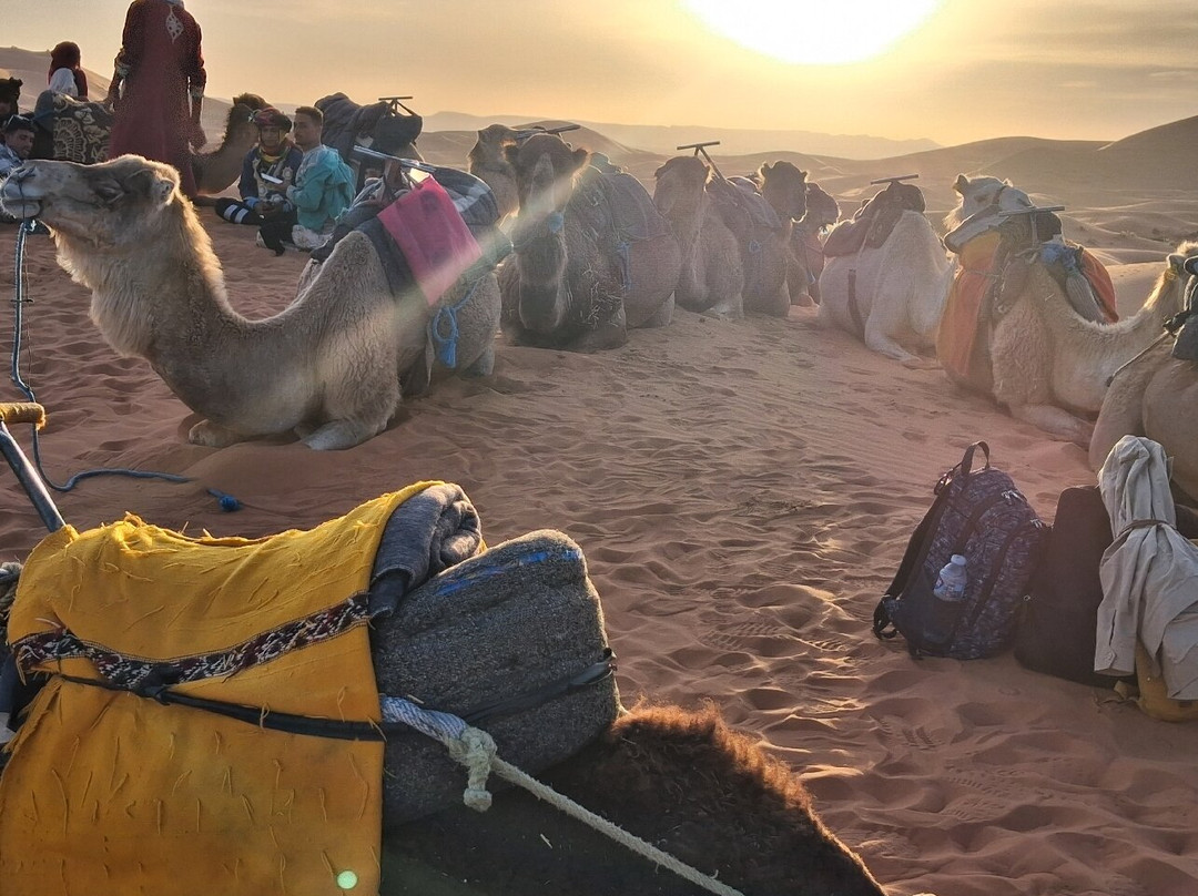 Marrakech Excursion-马拉喀什必去景点