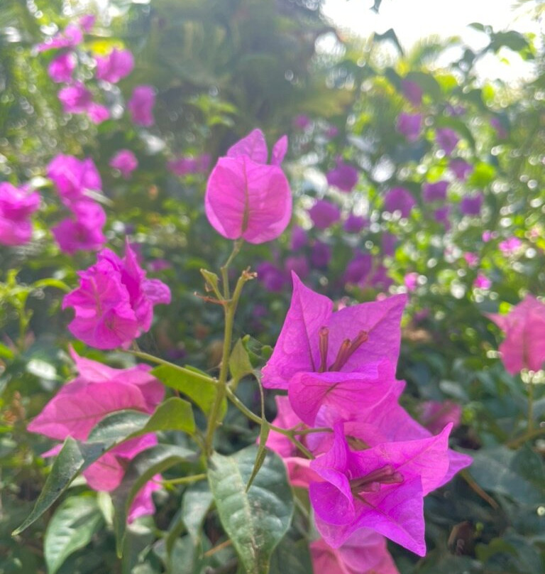 伊甸园酒店主图