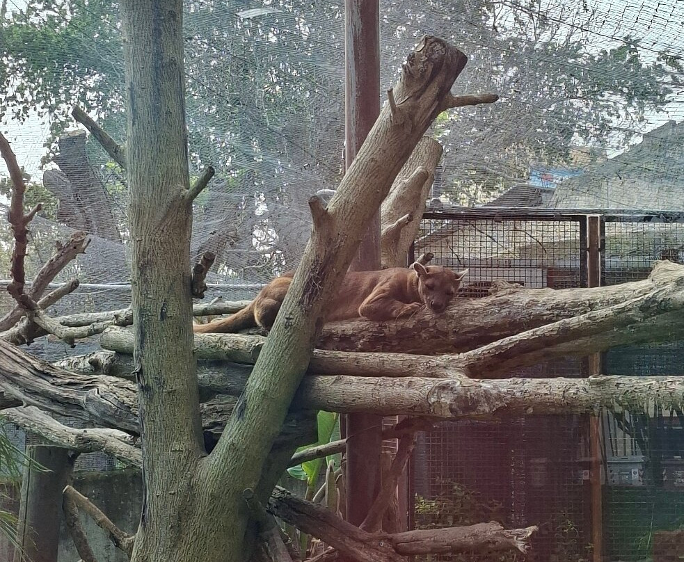 Lo Zoo di Napoli-那不勒斯必去景点