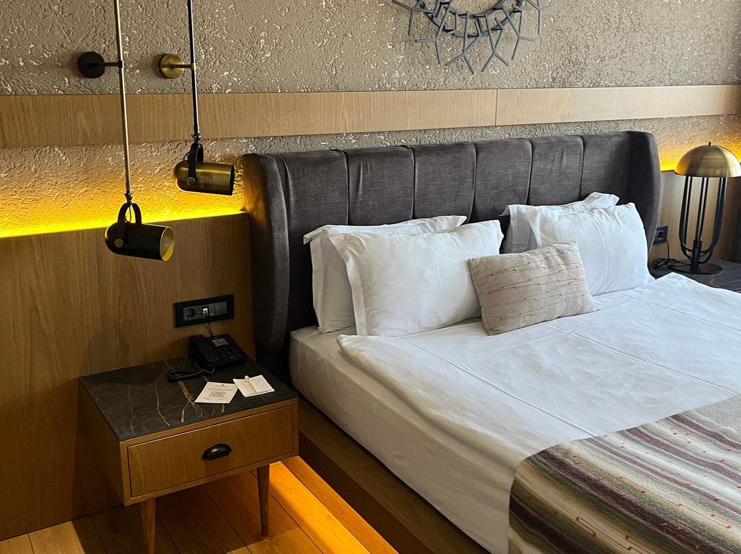 帕纳贾套房酒店主图