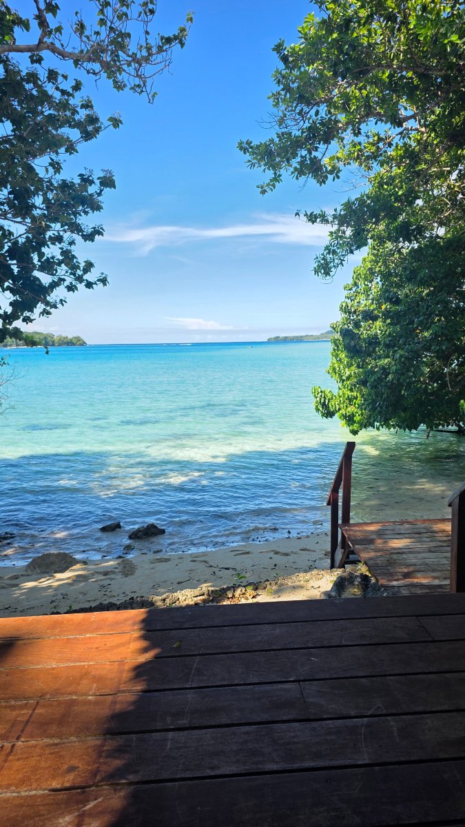 Matevulu Lodge-旅行者