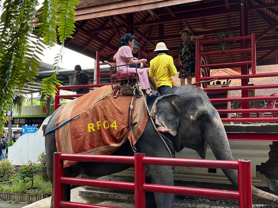Nongnooch Garden Pattaya-梭桃邑必去景点