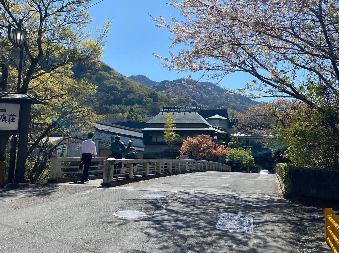 吉池日式旅馆主图