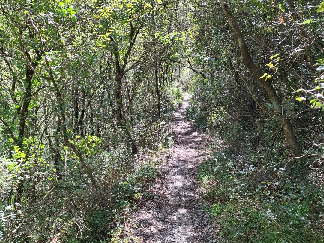 Lousios Gorge-Dimitsana必去景点