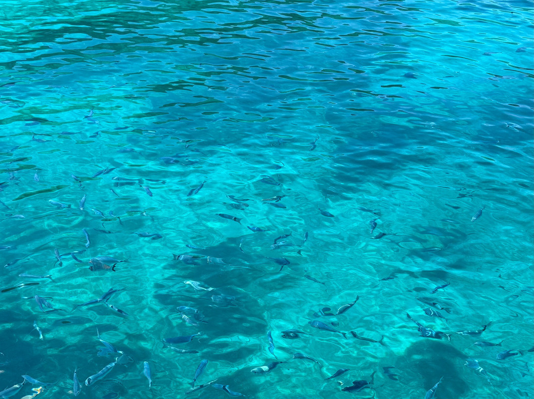 Easybook - Kostas Boat Trips-Agios Georgios必去景点