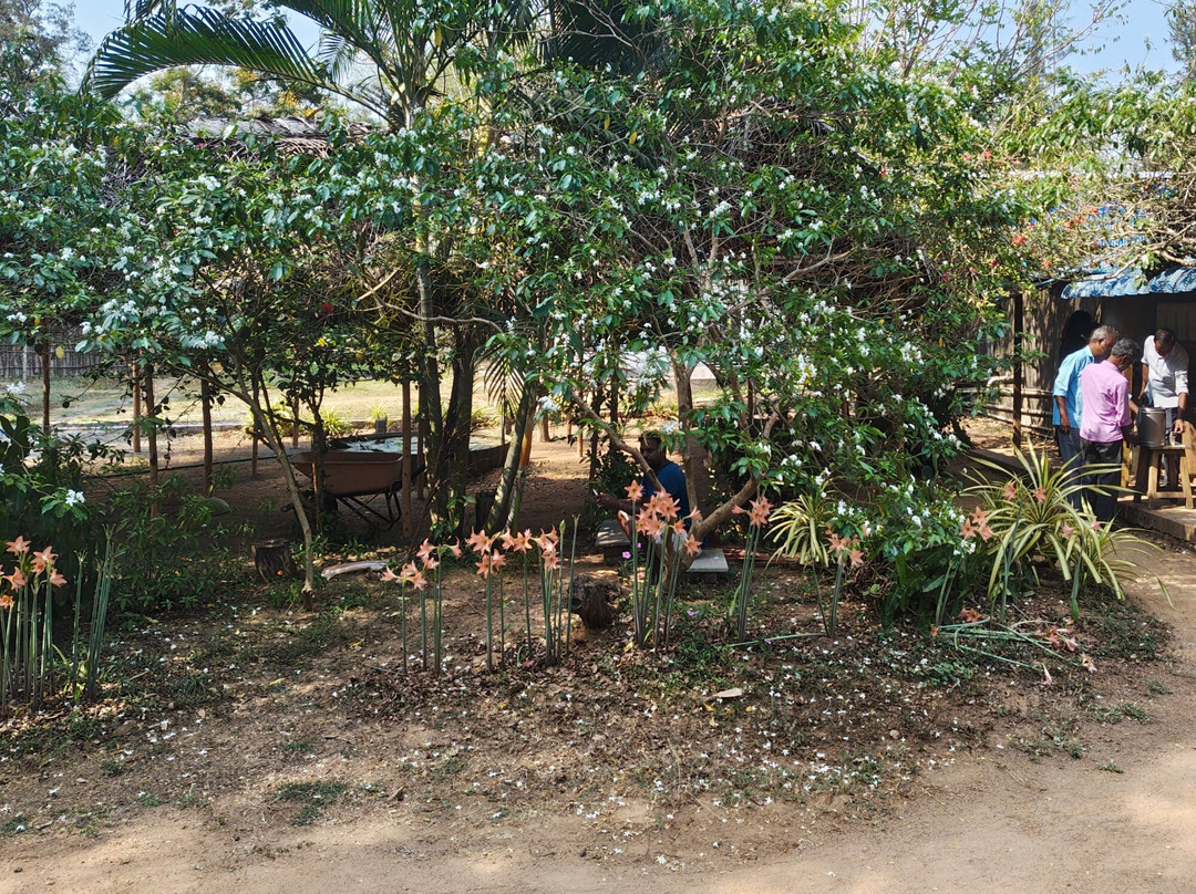 The Colours Of Nature-Auroville必去景点